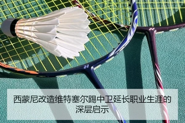 西蒙尼改造维特塞尔踢中卫延长职业生涯的深层启示 - CS:GO